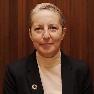Amela  Cosovic 